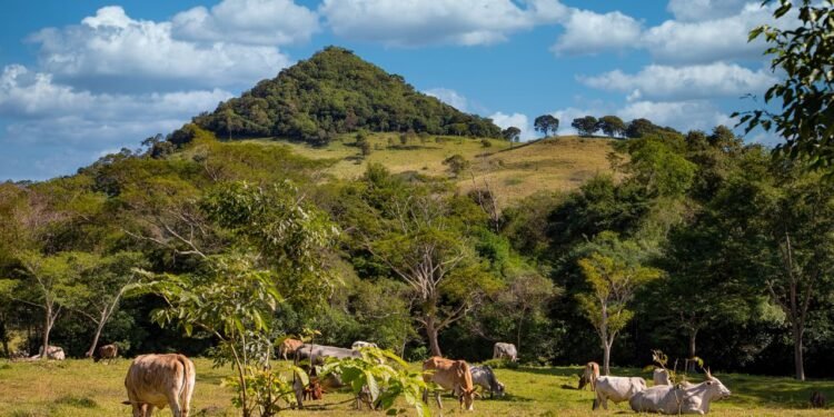 Paraguay’s New Golden Visa is a $150,000 Fast Track to Permanent Residency