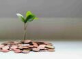 Planting Your Money Trees – Millennial Revolution