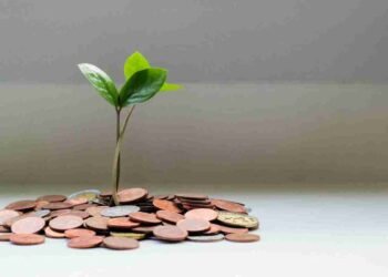 Planting Your Money Trees – Millennial Revolution