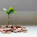Planting Your Money Trees – Millennial Revolution