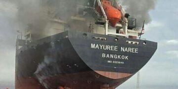 Russian missile strike spills 6,000 tons of sunflower oil into Black Sea