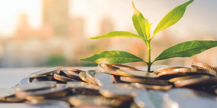 Semi-liquid structures: the double-edged sword