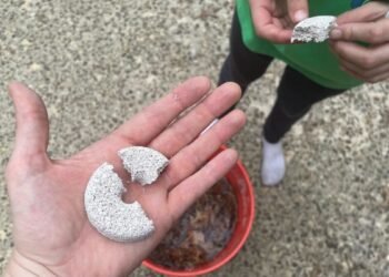 Set Up This 'Mosquito Death Bucket' Now