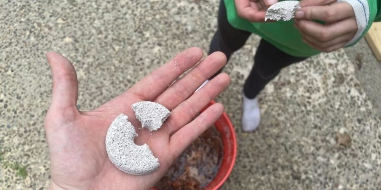 Set Up This 'Mosquito Death Bucket' Now