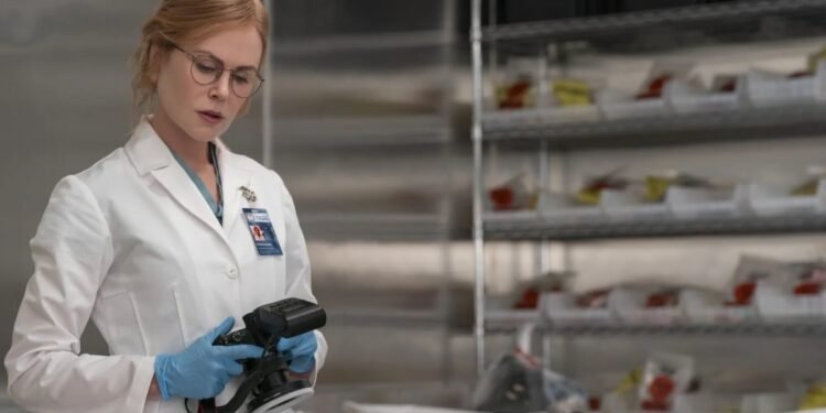 Shows Like 'Scarpetta' You Should Watch Next