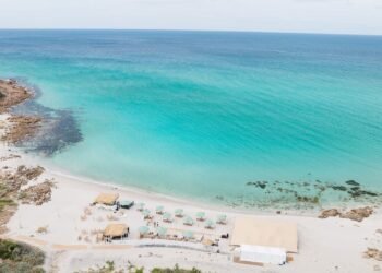 The Best Places to Visit This July for Wine, Waves, and Summer Breeze