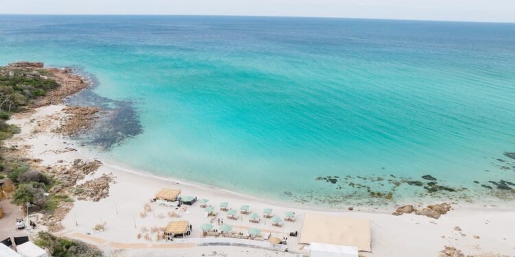 The Best Places to Visit This July for Wine, Waves, and Summer Breeze