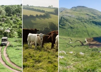 The Biggest Sustainability Trends in Travel for 2026