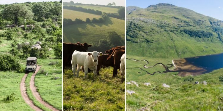 The Biggest Sustainability Trends in Travel for 2026