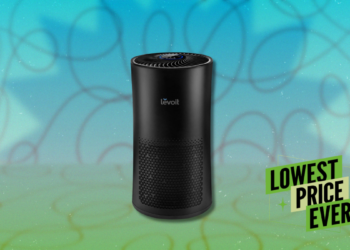 The Levoit LV-H133 Air Purifier Is 69% Off Right Now