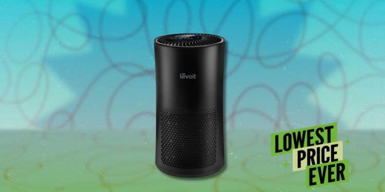 The Levoit LV-H133 Air Purifier Is 69% Off Right Now