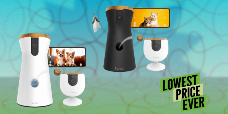 These Smart Cameras Will Toss Treats to Your Pets While You’re Away, and They’re 48% Off Right Now