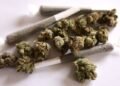 US government to ease marijuana restrictions, rescheduling by year-end possible