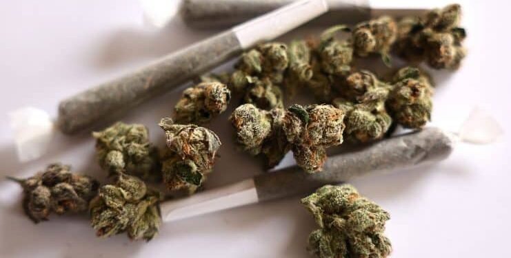 US government to ease marijuana restrictions, rescheduling by year-end possible