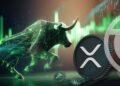 XRP price bull