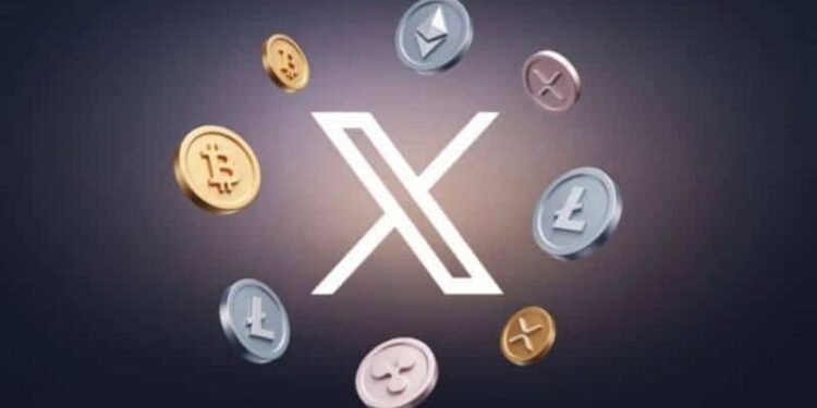 X product chief floats idea of building “something” to address crypto slump