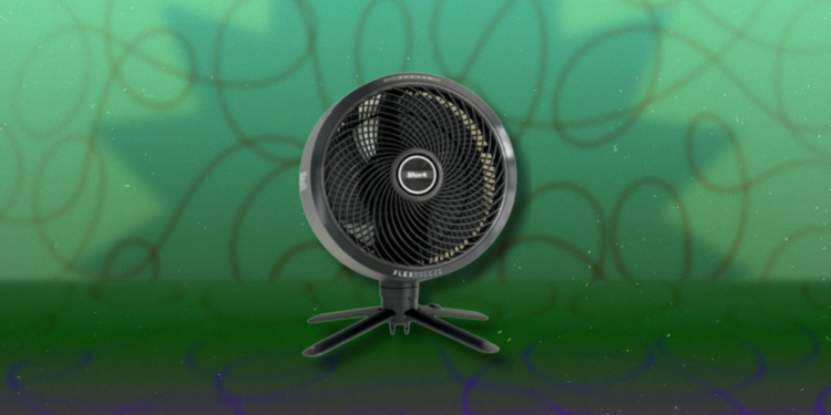 You Can Get This Cordless Shark Indoor/Outdoor Fan for Just $80 Right Now