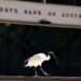 Australia central bank saw space to assess impact of Gulf conflict after May rate hike