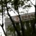 Bank of Korea deputy chief says time to consider rate hikes