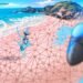 Bermuda to Transition ‘Key’ Financial Services to Stellar Blockchain