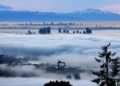 Canada’s broader citizenship rules draw strong American interest, data shows