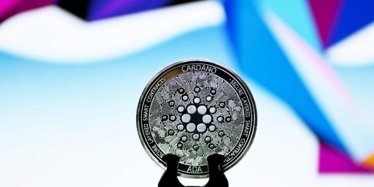 Cardano