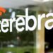Cerebras could be the next hot chip stock as demand swells ahead of its IPO