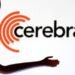 Cerebras shares skyrocket in debut as AI mania grips markets