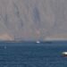 China oil import cut, higher US exports wrongfoot market bulls