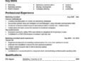 Example of a reverse chronological CV