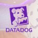 Datadog’s stock is soaring. Here’s how the company became such a crucial AI player.