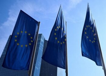 ECB must act on inflation sooner rather than later, policymaker Pereira says
