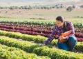 EIB and BNP Paribas Leasing Solutions sign €200m European agricultural financing initiative