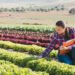 EIB and BNP Paribas Leasing Solutions sign €200m European agricultural financing initiative