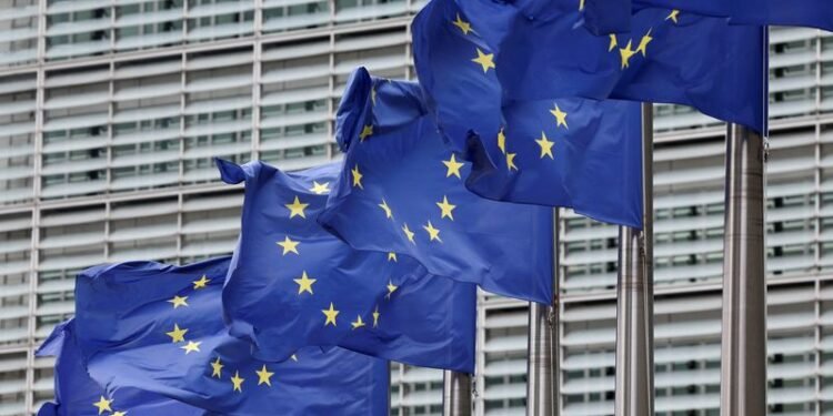 EU must reform, consolidate, use joint debt to cope with spending needs, IMF says