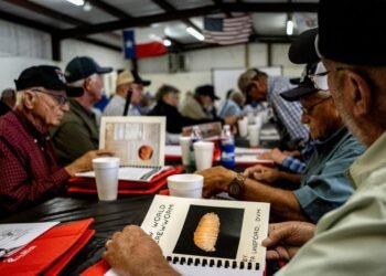 Flesh-eating screwworm found within 31 miles of US border, says USDA