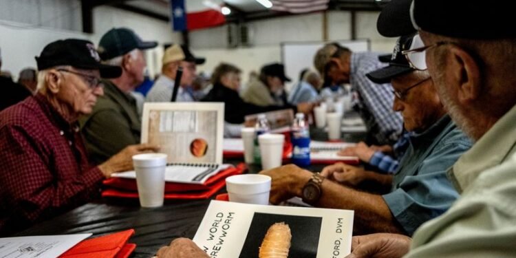Flesh-eating screwworm found within 31 miles of US border, says USDA