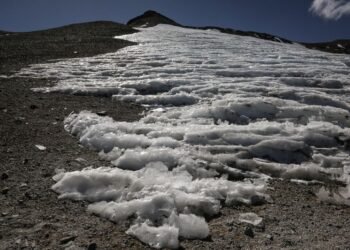 Global temperatures to reach near-record highs in next five years, report finds
