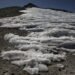 Global temperatures to reach near-record highs in next five years, report finds