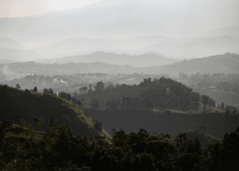 In Uganda, The Gorillas Are Only Part of The Appeal