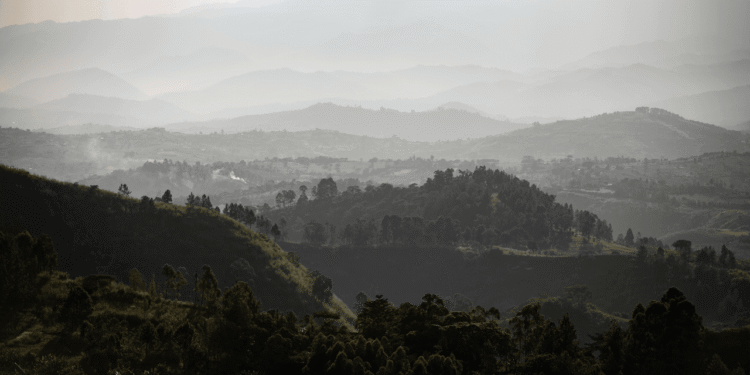 In Uganda, The Gorillas Are Only Part of The Appeal