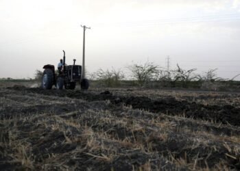 Iran war poses new threat to harvests in hunger-stricken Sudan