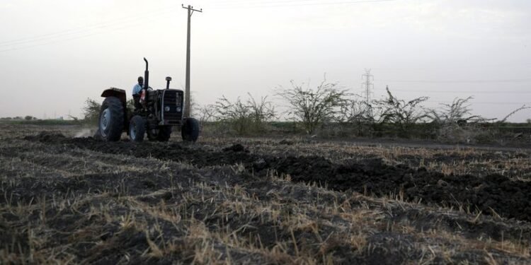 Iran war poses new threat to harvests in hunger-stricken Sudan