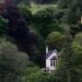 My Favorite Airbnb: A Country Home in the Scottish Highlands