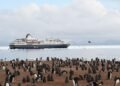 My Journey to See All 19 Penguin Species in the Wild, From Antarctica to Tristan da Cunha to New Zealand's Subantarctic Islands