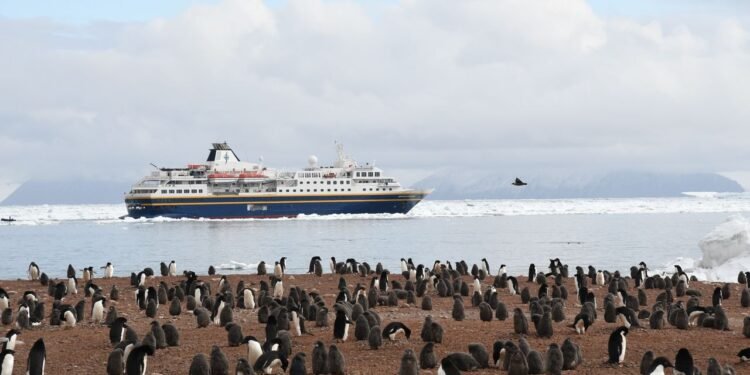 My Journey to See All 19 Penguin Species in the Wild, From Antarctica to Tristan da Cunha to New Zealand's Subantarctic Islands
