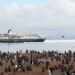 My Journey to See All 19 Penguin Species in the Wild, From Antarctica to Tristan da Cunha to New Zealand's Subantarctic Islands