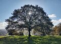 Oaktree secures Pantheon backing for European direct lending expansion