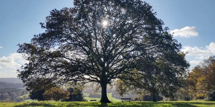 Oaktree secures Pantheon backing for European direct lending expansion