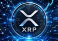 'Ripple is the Infrastructure for the Internet of Value'